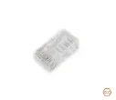 NT2001RJ45C6 CONECTORES RJ45 CAT.6 x 100und.